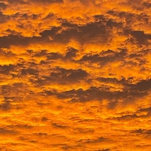 Meet your Posher, Fred